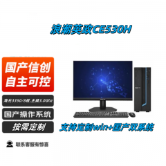 浪潮英政CE530H 国产信创电脑 海光3350(8核 3.0G)/8G/512G/2G显卡/光驱